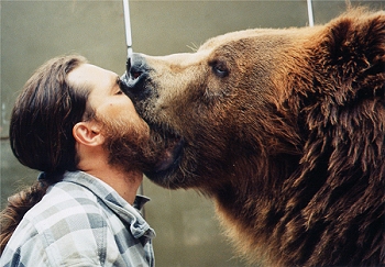 kodiak-bear.jpg