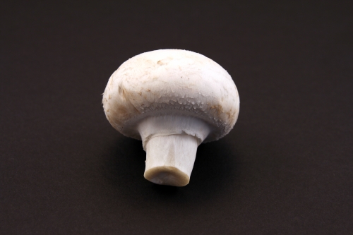 aversion to mushrooms: